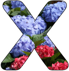Deko-Buchstaben-Blumen_X.jpg